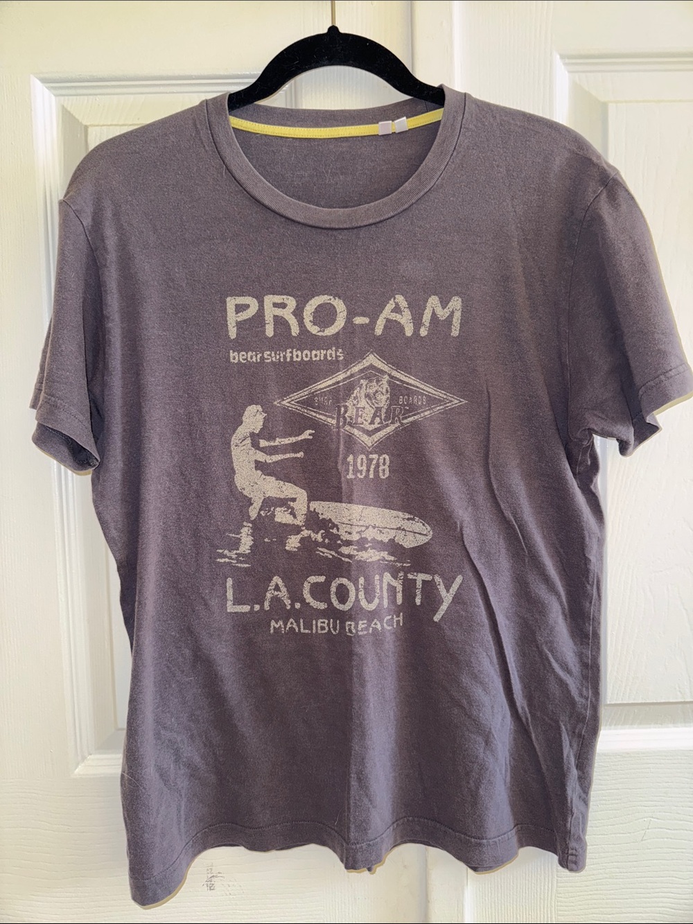 NWOT PRO-AM L.A. County Graphic Tee - Men's Brown Surf Shirt
